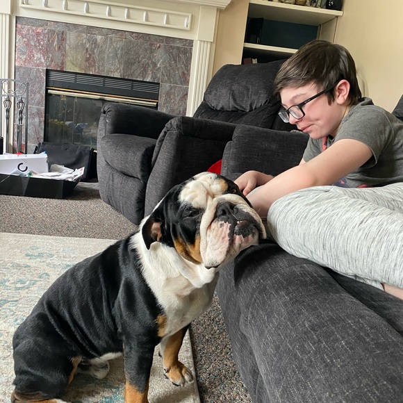 Meet Dani - Picture 4 of 4